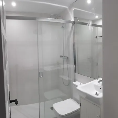 Palmeras 55 Menyber