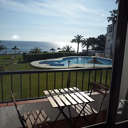 Palmeras 55 Menyber *