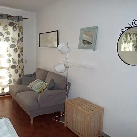 Palmeras 55 Menyber