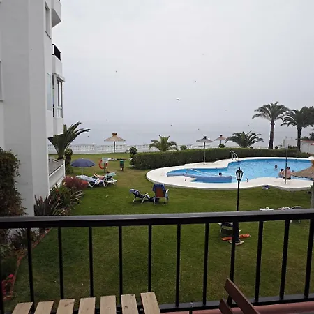 Palmeras 55 Menyber